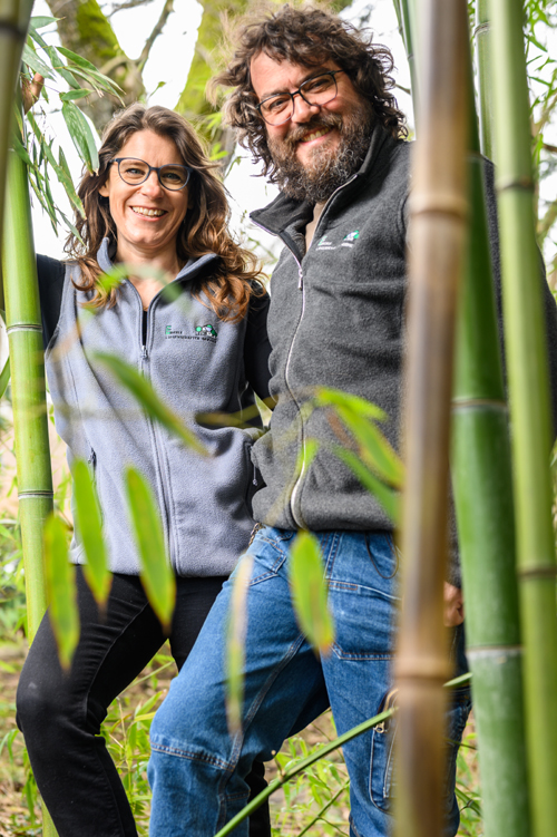 Eberle Liegenschaften-Service Hauswartung & Gartenpflege